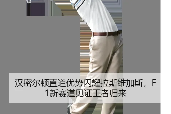 han-mi-er-dun-zhi-dao-you-shi-shan-yao-la-si-wei-jia-si-xin-sai-dao-jian-zheng-wang-zhe-gui-lai-2-404.jpg
