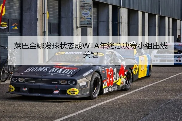 莱巴金娜发球状态成WTA年终总决赛小组出线关键